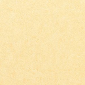 Vinílicos para Paredes<br> Pleso – 1026.01<br> Vescom