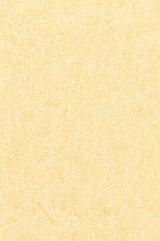 Vescom – Pleso 1026.01