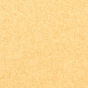 Vinílicos para Paredes<br> Pleso – 1026.02<br> Vescom