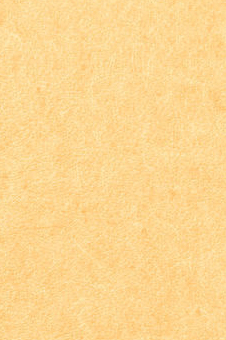 Vescom – Pleso 1026.02