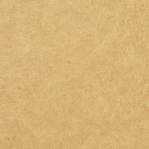 Vinílicos para Paredes<br> Pleso – 1026.03<br> Vescom