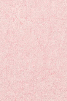 Vescom – Pleso 1026.04