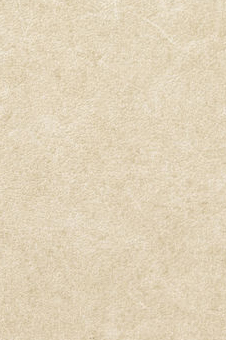 Vescom – Pleso 1026.05