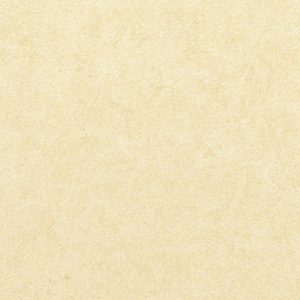 Vinílicos para Paredes<br> Pleso – 1026.06<br> Vescom