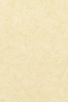 Vescom – Pleso 1026.06