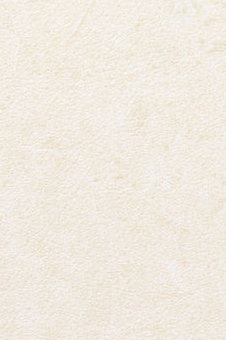 Vescom – Pleso 1026.09