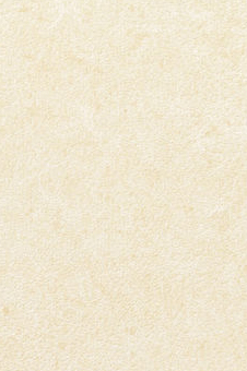 Vescom – Pleso 1026.10