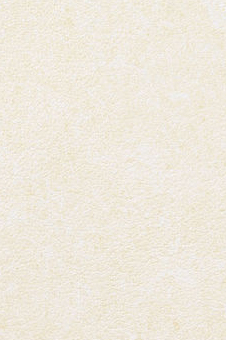 Vescom – Pleso 1026.12