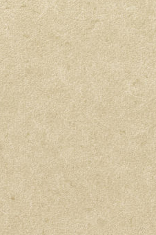 Vescom – Pleso 1026.13