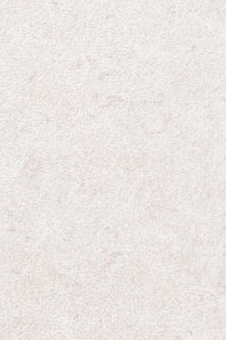 Vescom – Pleso 1026.17