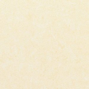 Vinílicos para Paredes<br> Pleso – 1026.19<br> Vescom