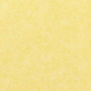 Vinílicos para Paredes<br> Pleso – 1026.20<br> Vescom