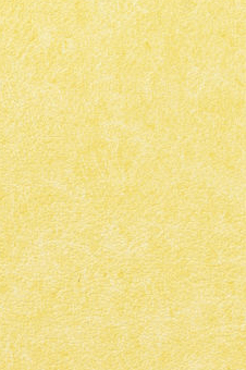 Vescom – Pleso 1026.20