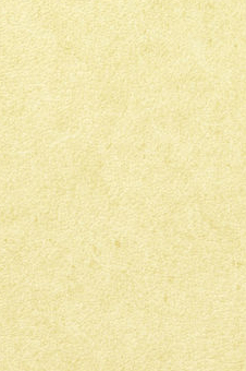 Vescom – Pleso 1026.21