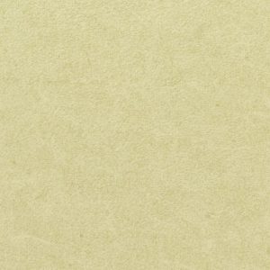 Vinílicos para Paredes<br> Pleso – 1026.24<br> Vescom
