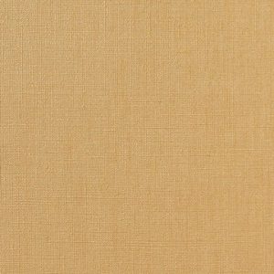 Vinílicos para Paredes<br> Rainy – 1058.05<br> Vescom