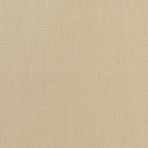 Vinílicos para Paredes<br> Rainy – 1058.08<br> Vescom
