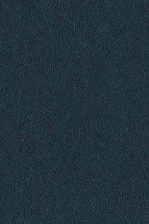 Newmor – Zenith 15.608