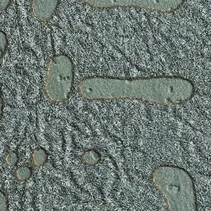 Tecidos para Paredes<br> Maestro – 67-1650<br> Tapetex