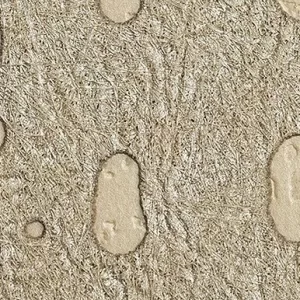 Tecidos para Paredes<br> Maestro – 67-1652<br> Tapetex