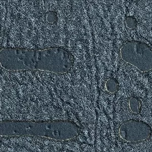 Tecidos para Paredes<br> Maestro – 67-1659<br> Tapetex