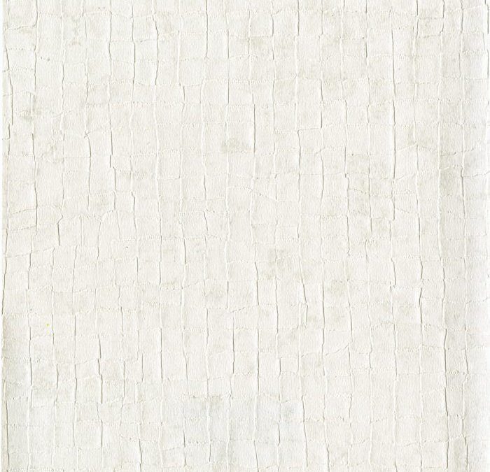 Newmor – Acacia ACA001