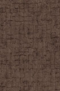 Newmor – Acacia ACA011