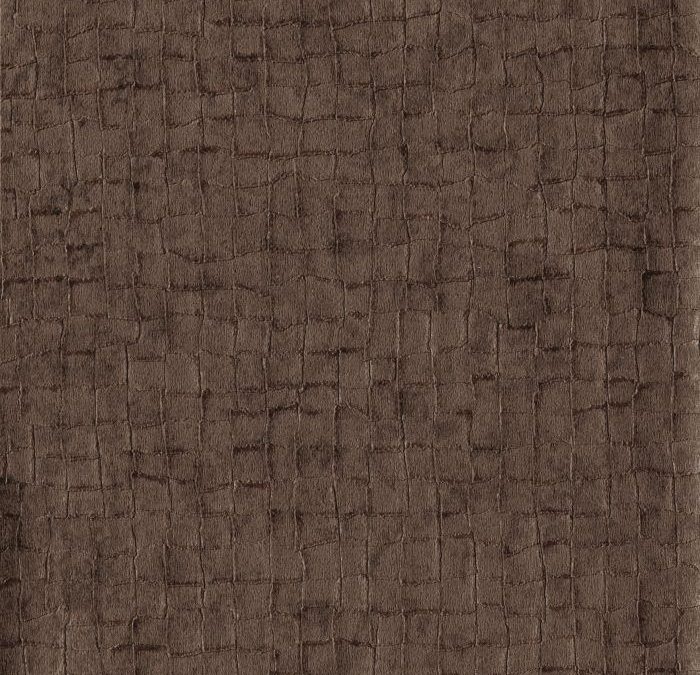 Newmor – Acacia ACA011