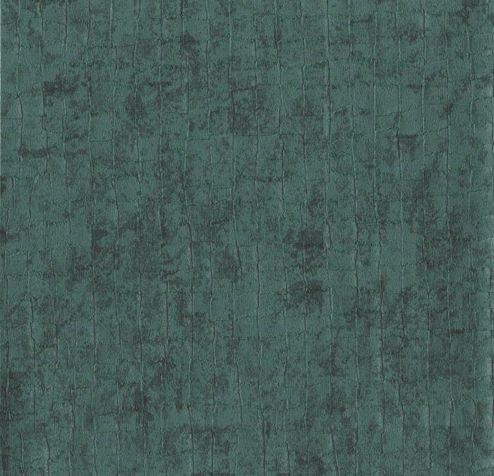 Newmor – Acacia ACA012