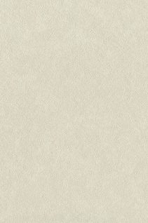 Newmor – Brushed Steel BST-008