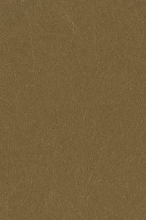 Newmor – Brushed Steel BST-013