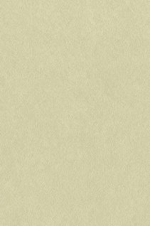 Newmor – Brushed Steel BST-020