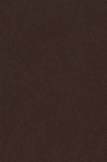 Newmor – Brushed Steel BST-029