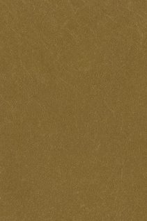 Newmor – Brushed Steel BST-030