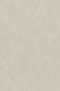 Newmor – Brushed Steel BST-034