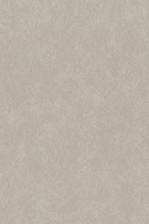 Newmor – Brushed Steel BST-035