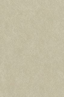 Newmor – Brushed Steel BST-042