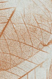 Newmor – Leaves LVS-002