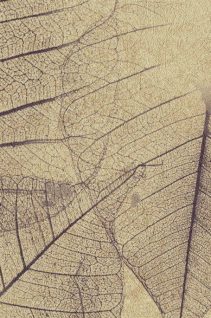 Newmor – Leaves LVS-003