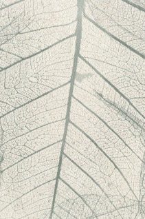 Newmor – Leaves LVS-007