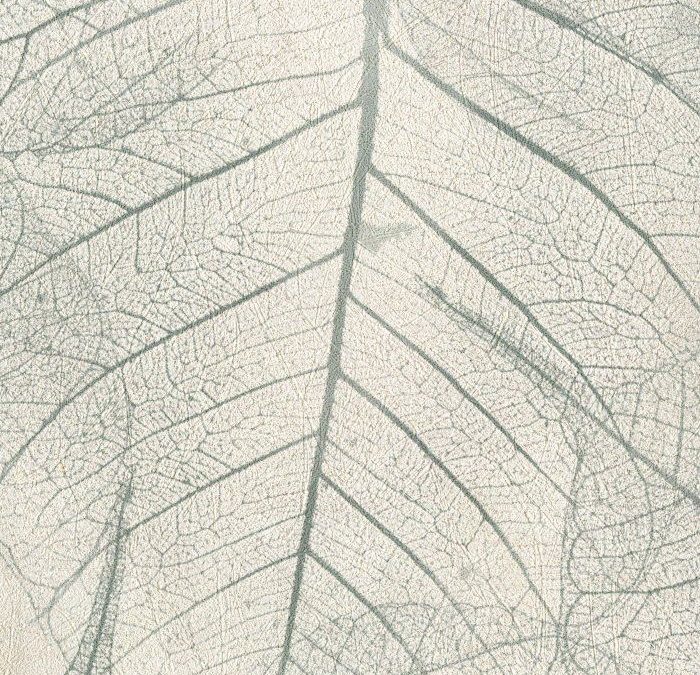 Newmor – Leaves LVS-007