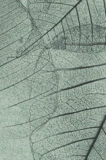 Newmor – Leaves LVS-008