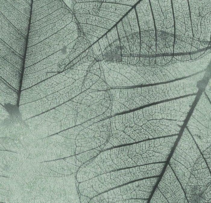 Newmor – Leaves LVS-008