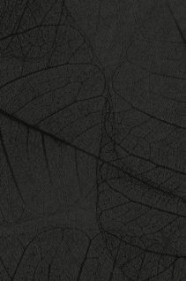 Newmor – Leaves LVS-009