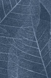Newmor – Leaves LVS-010