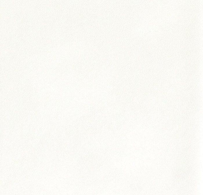 Newmor – Peloso PEL-006