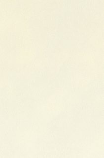 Newmor – Peloso PEL-010
