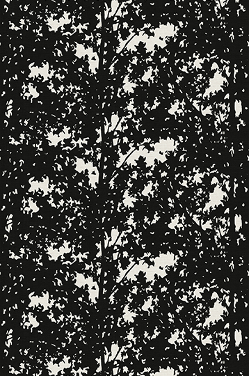 Tower – Go Outside T2-GT-02