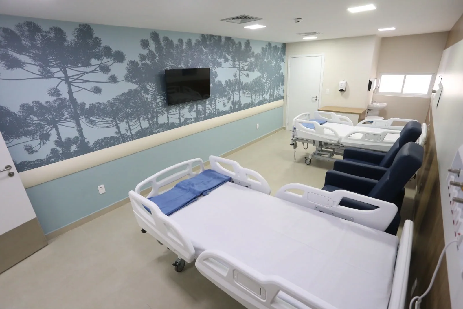 Instituto Estadual de Oncologia da Baixada Fluminense, apartamento com parede de araucárias personalizada
