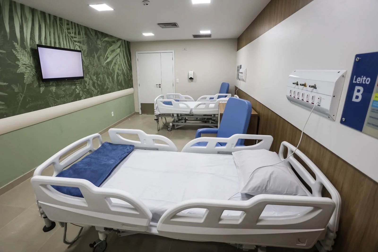 Instituto Estadual de Oncologia da Baixada Fluminense, apartamento com parede de folhagem personalizada